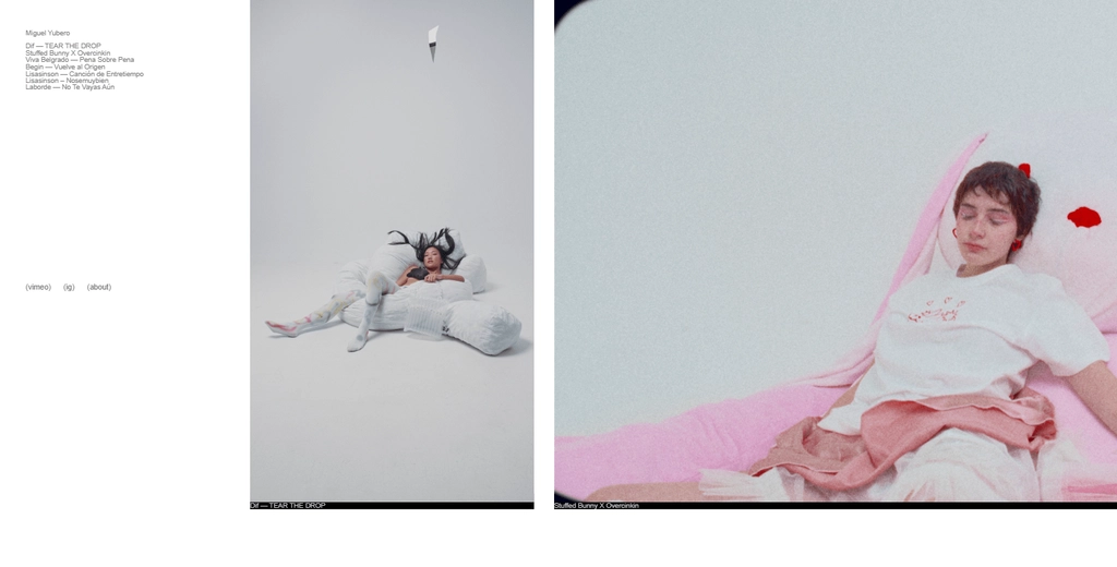 Website Pic